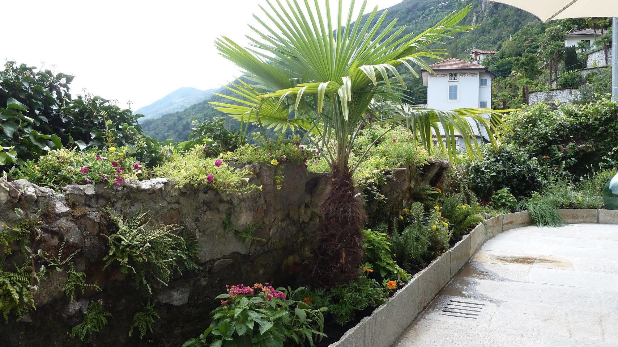 B&B Casa Forster Cannero Riviera Kültér fotó